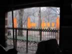 IMG_0067.jpg (72kb)