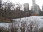 IMG_0083.jpg (101kb)